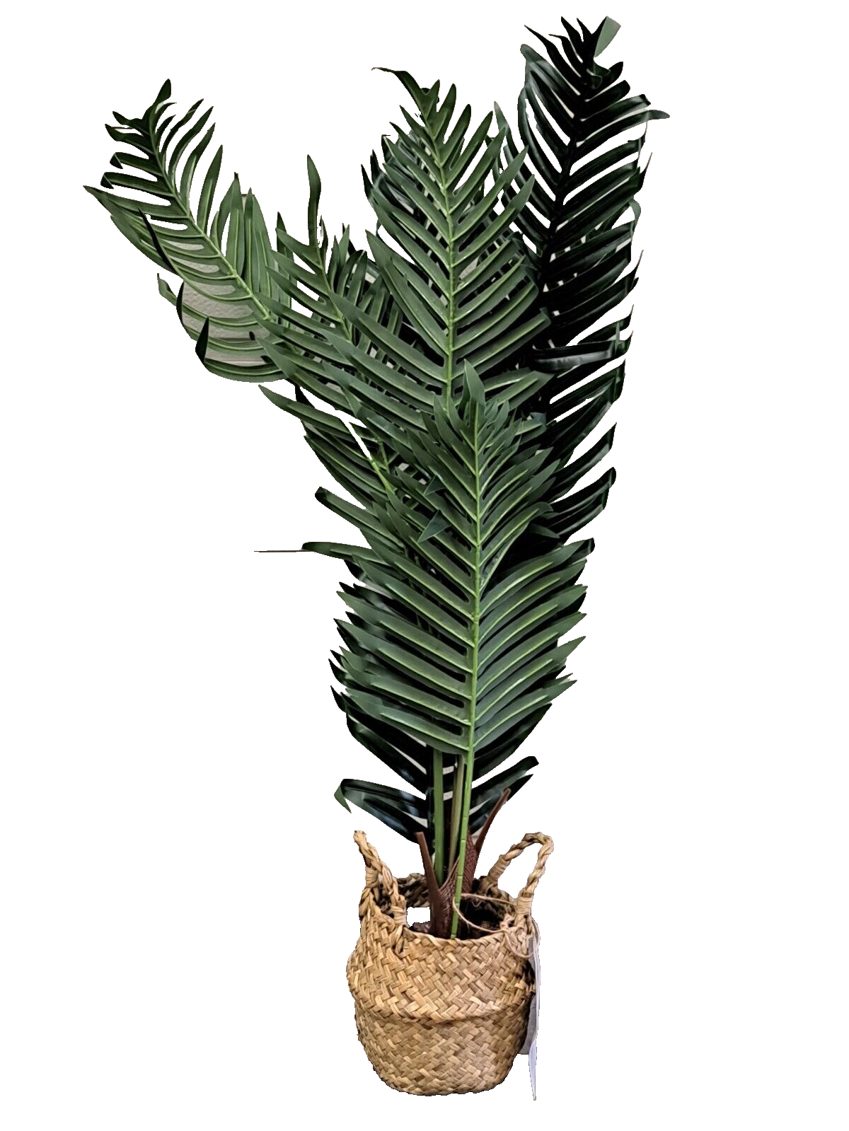 Deludere Artificial Palm Kentia 85 cm